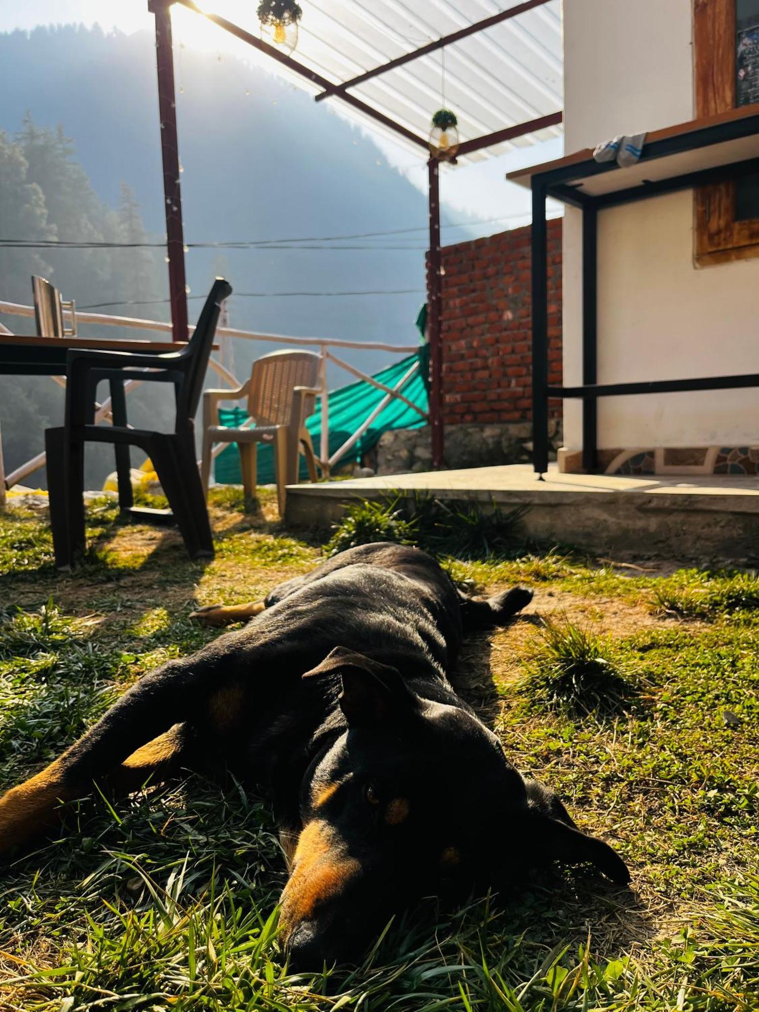 Hotel Adinova Kasol Buitenkant foto
