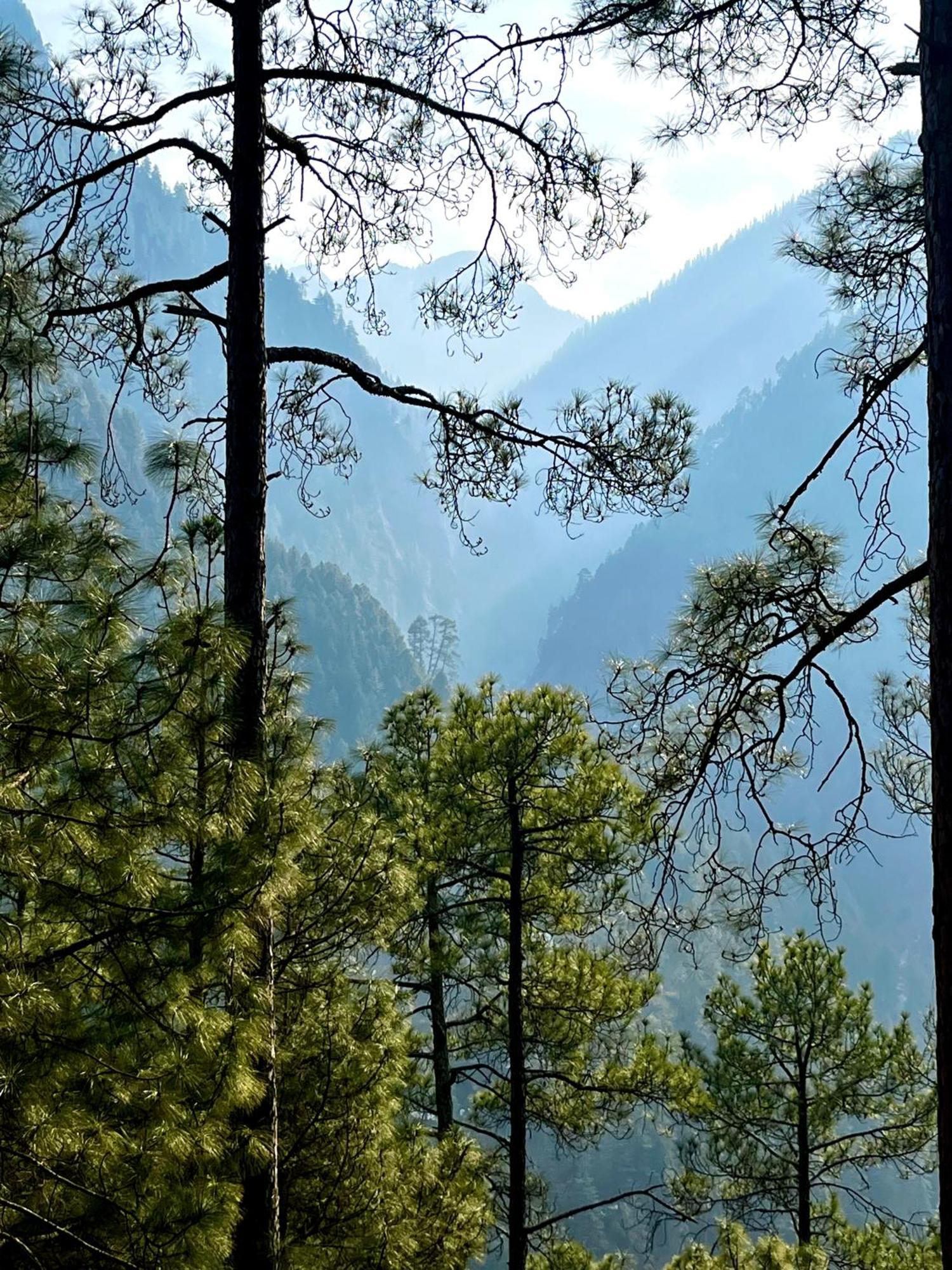 Hotel Adinova Kasol Buitenkant foto
